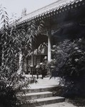Garden of the apostolic delegation in Beijing