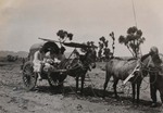 On the way to the village by mule drawn carts