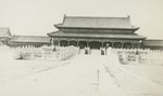 View of the Forbidden City 3