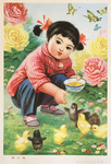 Chinese Girl Feeding Little Chickens