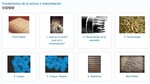 Fundamentos de la lectura e interpretación by Jacob Rapp and Katherine Karr-Cornejo